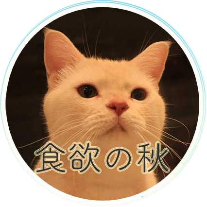 アンニン
