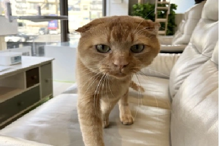 まさお